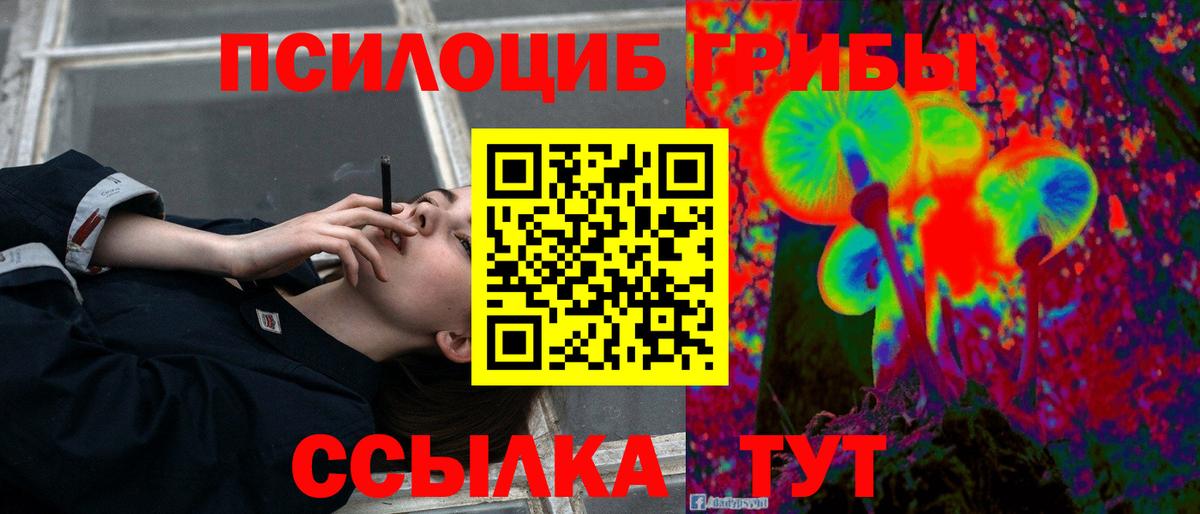 Псилоцибиновые грибы мицелий  Вход с VPN  Екатеринбург 